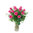 12 roses fuchsia