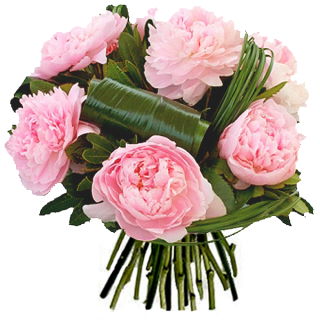Fleurs Fête des Mères: Bouquet Amour de Pivoines