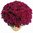 chrysanthème multifleurs prune