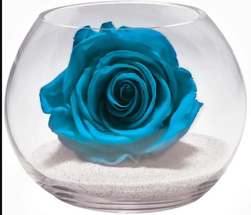 Véritable Rose éternelle(stabilisée) turquoise dans son vase